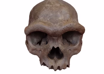 ‘Dragon Man’ DNA revelation puts a face to a mysterious group of ancient humans