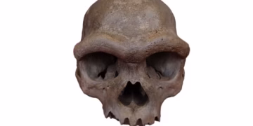 ‘Dragon Man’ DNA revelation puts a face to a mysterious group of ancient humans