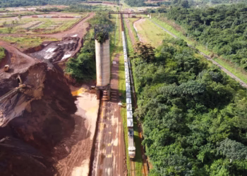 Trump wants to talk business with Africa in hopes of countering China. But a US summit excluded Africa’s big players