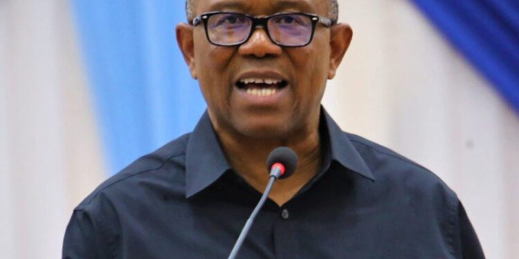 Peter Obi Urges Nigerians To Secure PVCs Ahead Of 2027 Election
