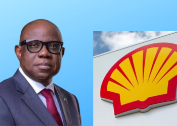 Shell to invest $20bn in Bonga South West project – Ojulari