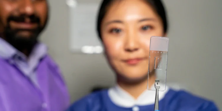 Scientists reproduce real blood vessels to treat vascular disease