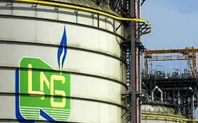 NLNG calls for stricter risk management to drive oil and gas growth