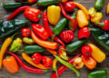 New Research Finds Shocking Link Between Chili Peppers and Cancer