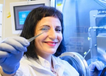 Scientists develop tiny solar cells that use car windows, glasses to generate electricity