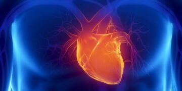 Scientists identify simple supplement that can reverse heart disease