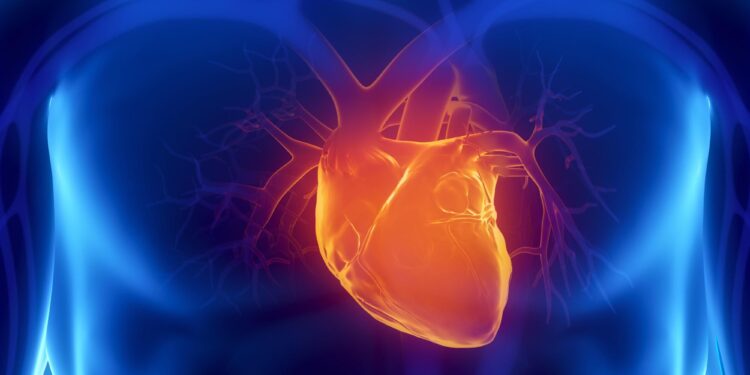 Scientists identify simple supplement that can reverse heart disease