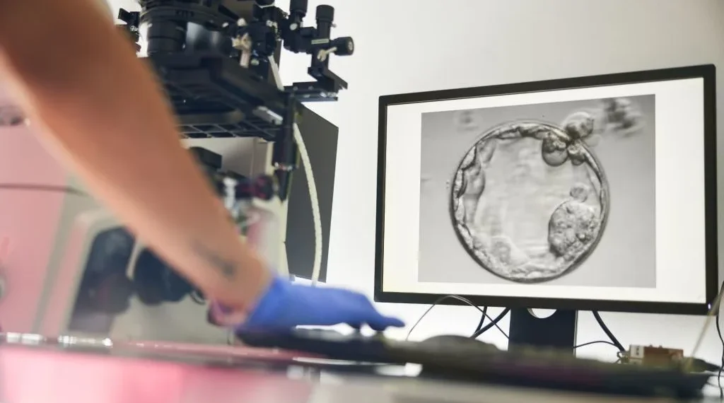 How doctors use AI to spot ‘hidden’ sperm in men