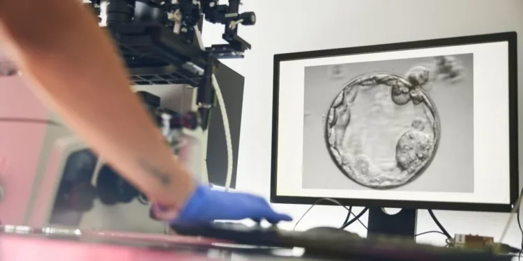 How doctors use AI to spot ‘hidden’ sperm in men