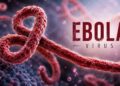 Suspected Ebola case triggers alert in India