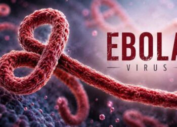Suspected Ebola case triggers alert in India