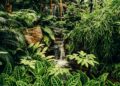 Tropical rainforest loss drops by 36% in 2025, data shows