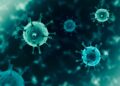 New research finds hidden virus that may have infected 9.4m people