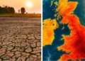 Analysts warn ‘Super’ El Niño could trigger global food price shock up to 2028
