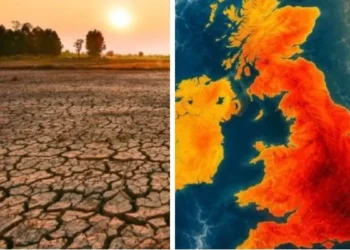 Analysts warn ‘Super’ El Niño could trigger global food price shock up to 2028