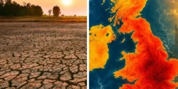 Analysts warn ‘Super’ El Niño could trigger global food price shock up to 2028
