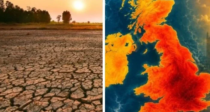 Analysts warn ‘Super’ El Niño could trigger global food price shock up to 2028