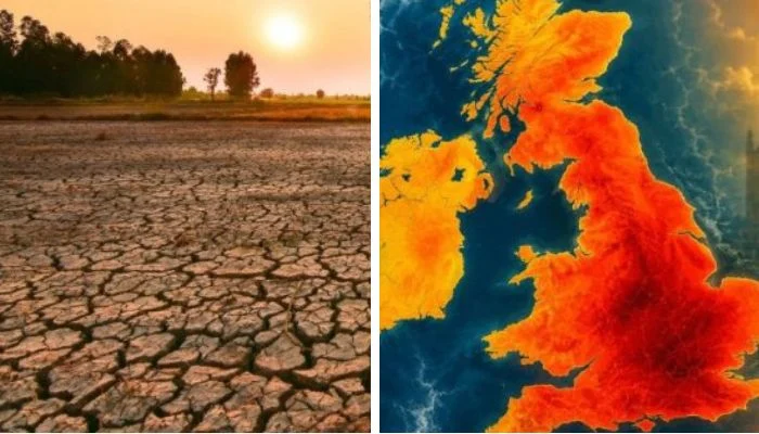 Analysts warn ‘Super’ El Niño could trigger global food price shock up to 2028