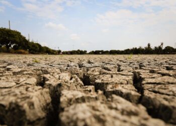 Climate change reduces crop nutrition, scientists warn