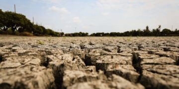 Climate change reduces crop nutrition, scientists warn
