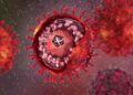 New study reveals herpesvirus infection may accelerate Alzheimer’s disease