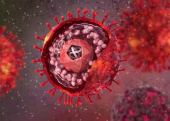 New study reveals herpesvirus infection may accelerate Alzheimer’s disease