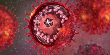 New study reveals herpesvirus infection may accelerate Alzheimer’s disease