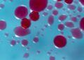 Researchers warn rising CO₂ already changing human blood chemistry
