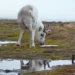 AI Mapping Reveals Hidden Stage Of Arctic Freeze With Climate Implications