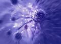 Ancient immune protein could hold key to better cancer immunotherapy