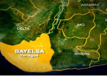 Bayelsa most polluted state in Nigeria, says environmentalist