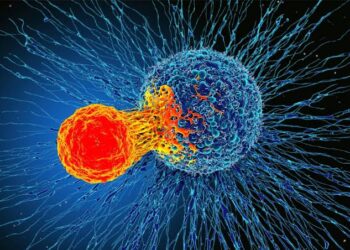 Cancer cells use sugar shield to hide from immune system, study finds