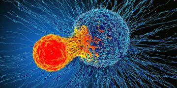 Cancer cells use sugar shield to hide from immune system, study finds
