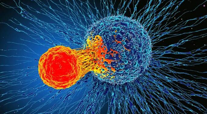 Cancer cells use sugar shield to hide from immune system, study finds