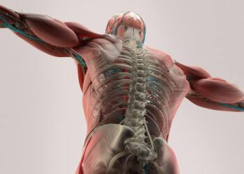 New research recommends better movement for bone health